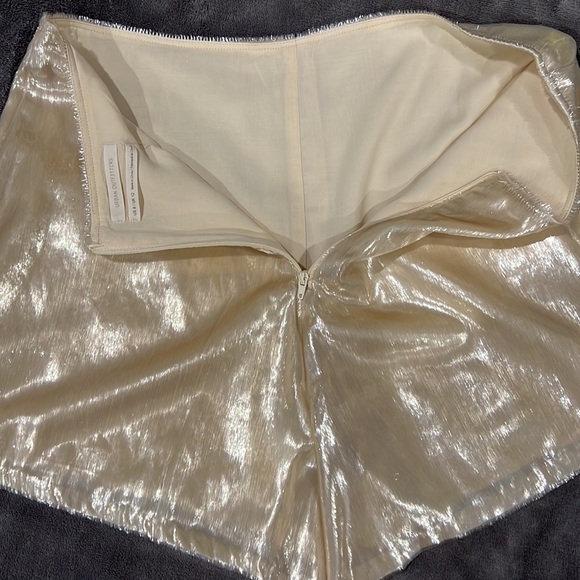 Champagne fancy shorts from Urban Outfitters - Picture 5 of 8